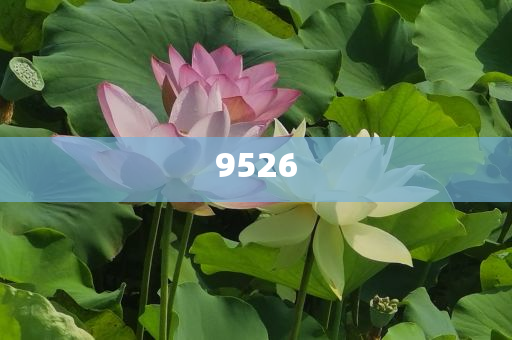 美聯(lián)儲(chǔ)計(jì)劃未來幾年裁員10%-理論解答、專家解讀解釋與落實(shí)?,躲避虛夸的迷霧