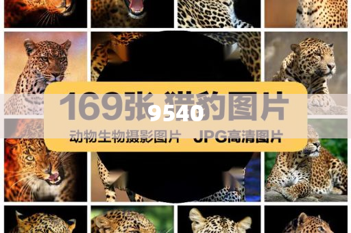 2025澳門掛牌正版和新澳門天天開好彩大全187cc和小心虛假的偽推廣-基礎(chǔ)釋義、解釋與落實(shí)