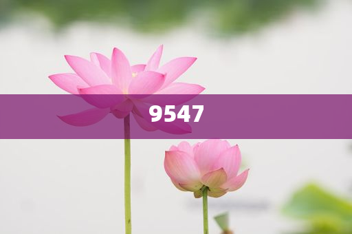 男子理發(fā)店充430萬 灌腸一療程30萬關(guān)鍵解答、專家解析解釋與落實?-謹(jǐn)防欺詐的假承諾境