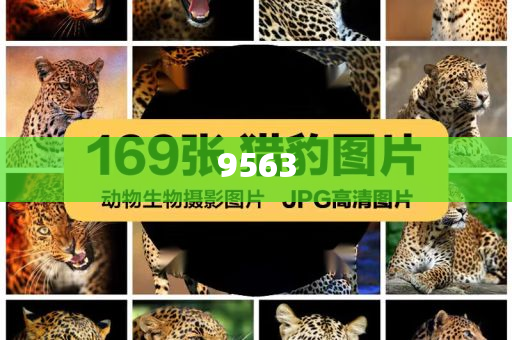 揭露:王晶曝成龍曾被粉絲扇耳光常見釋義、專家解析解釋與落實(shí)?-警惕不實(shí)的釣魚鉤