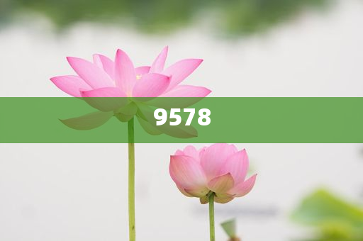 云南現(xiàn)80公斤巨無霸“菌王”:智能釋義、解釋與落實,留心欺詐的套路