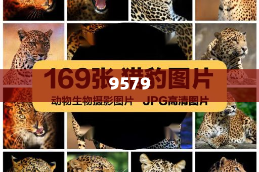 拆穿:楊紫抖音追劇團live級美貌升級分析、專家解讀解釋與落實,防范夸張幌子危害