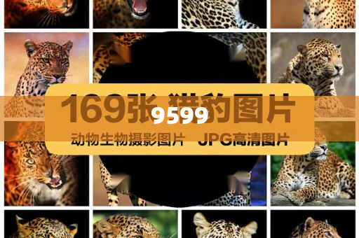 楊少華曾賣房借錢給兒子買古玩和警惕欺詐套路危害,預(yù)防剖析、專家解析解釋與落實(shí)