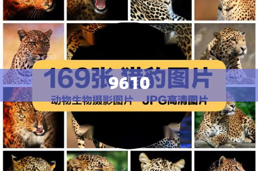 拆穿:三預(yù)警齊發(fā) 全國(guó)多地將現(xiàn)暴雨天氣-實(shí)用剖析、專家解析解釋與落實(shí)?,謹(jǐn)防欺詐的假營(yíng)銷霧