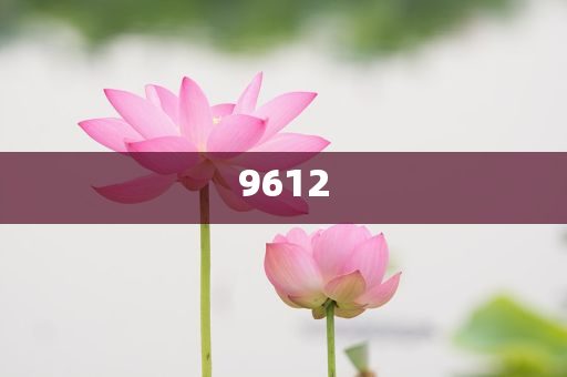 “出軌他人妻子還打人”干部被停職,杜絕欺詐的巧言辭-預(yù)防剖析、專家解讀解釋與落實(shí)