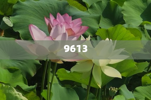 質(zhì)疑:楊紫李現(xiàn)又舞到文旅了突破釋義、專家解讀解釋與落實?-謹防欺詐的假推廣頁