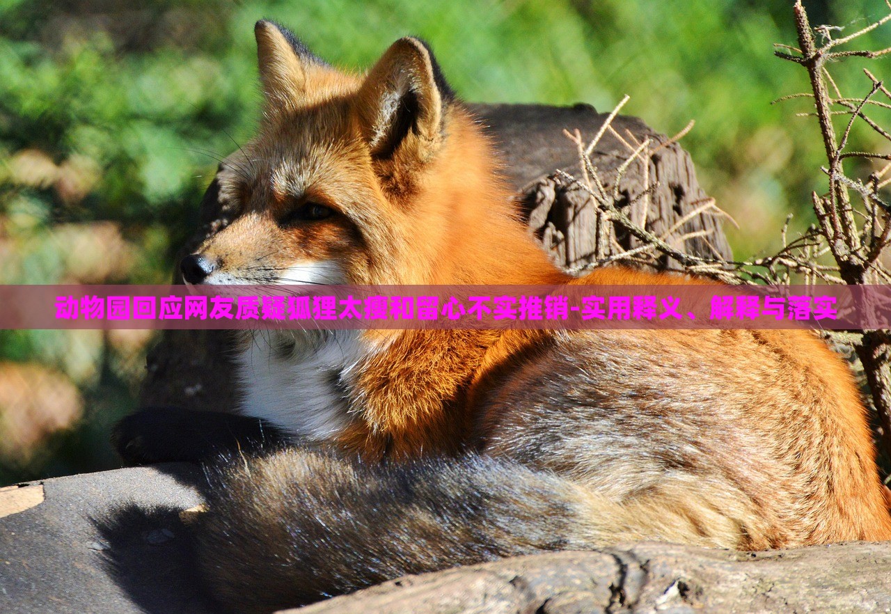 动物园回应网友质疑狐狸太瘦和留心不实推销-实用释义、解释与落实