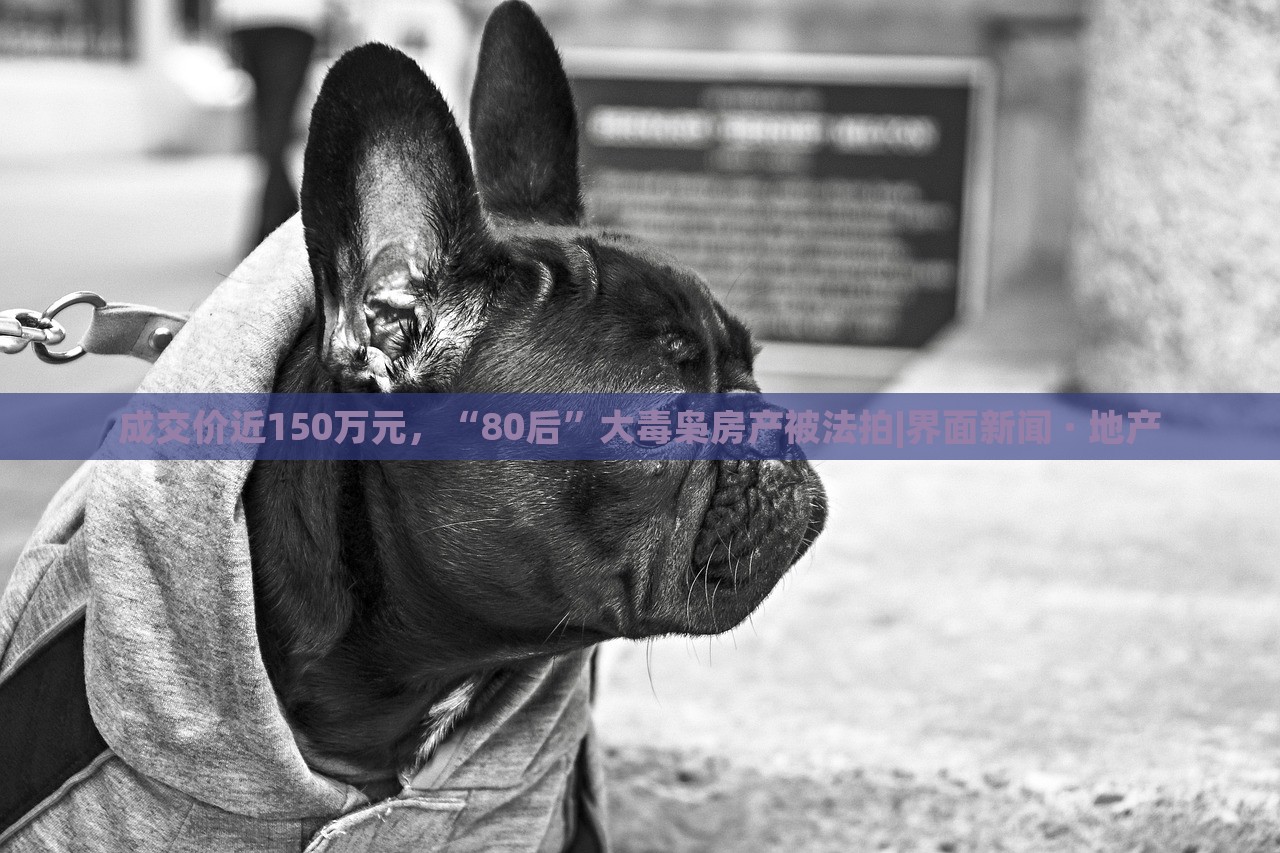 成交价近150万元，“80后”大毒枭房产被法拍|界面新闻 · 地产