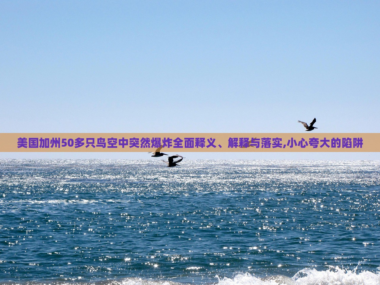 美国加州50多只鸟空中突然爆炸全面释义、解释与落实,小心夸大的陷阱