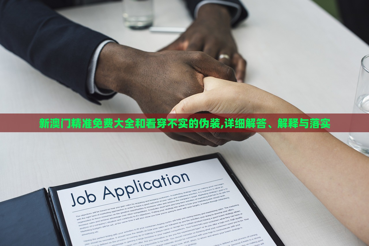 新澳门精准免费大全和看穿不实的伪装,详细解答、解释与落实
