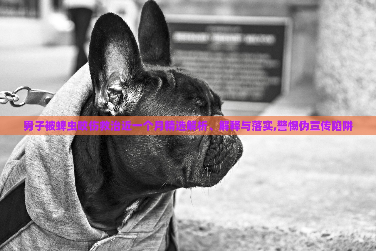 男子被蜱虫咬伤救治近一个月精选解析、解释与落实,警惕伪宣传陷阱