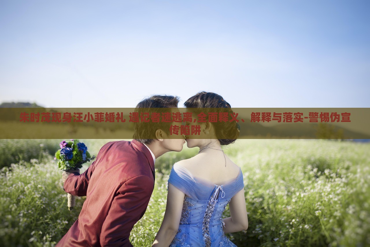 朱时茂现身汪小菲婚礼 遇记者速逃离,全面释义、解释与落实-警惕伪宣传陷阱