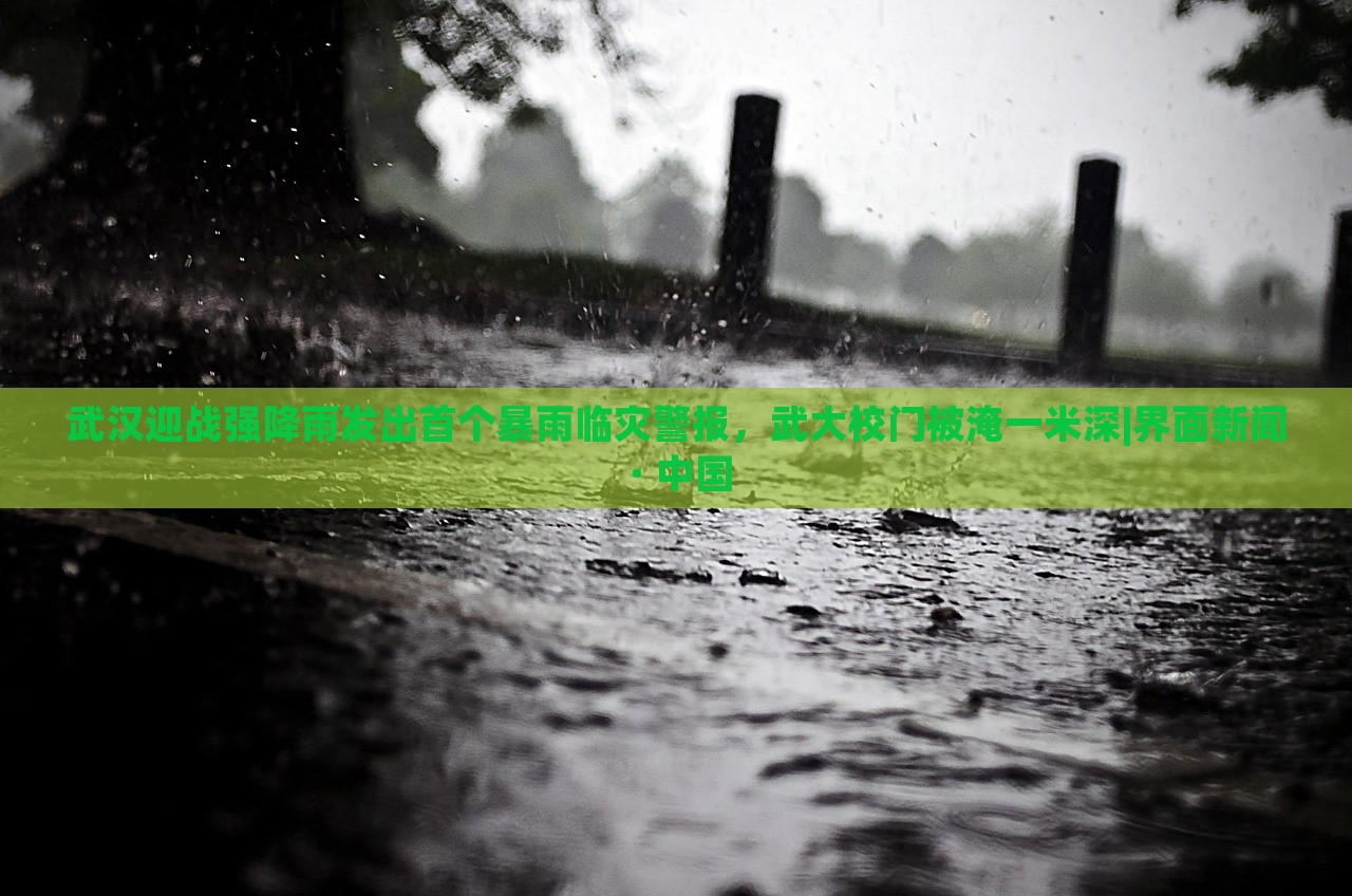 武汉迎战强降雨发出首个暴雨临灾警报，武大校门被淹一米深|界面新闻 · 中国