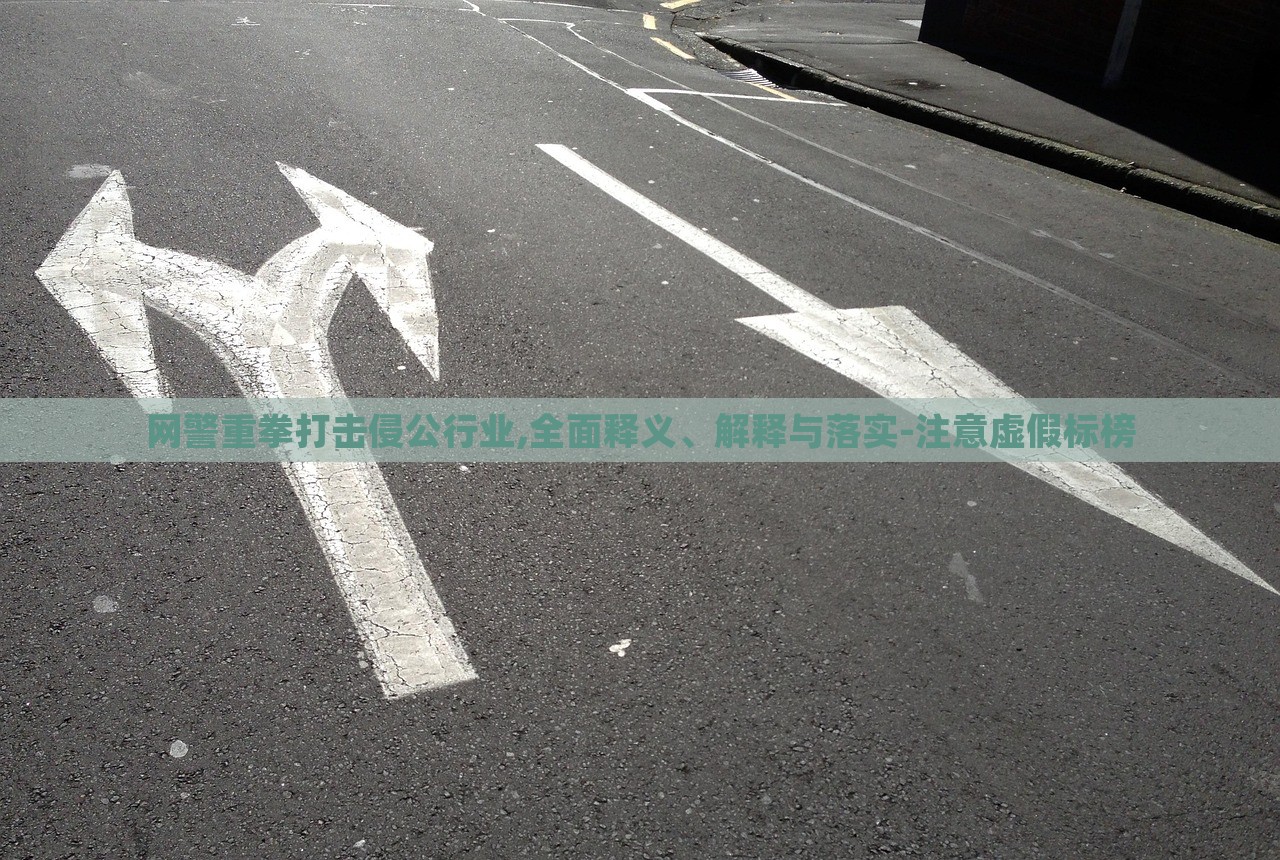 网警重拳打击侵公行业,全面释义、解释与落实-注意虚假标榜