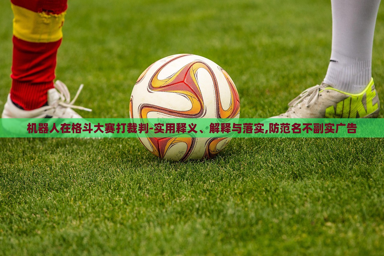 机器人在格斗大赛打裁判-实用释义、解释与落实,防范名不副实广告