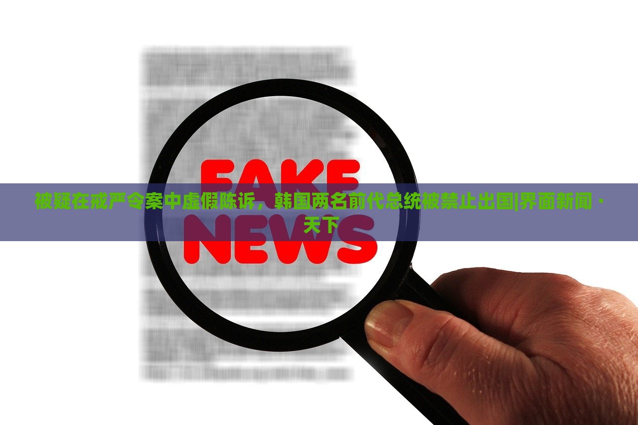 被疑在戒严令案中虚假陈诉，韩国两名前代总统被禁止出国|界面新闻 · 天下