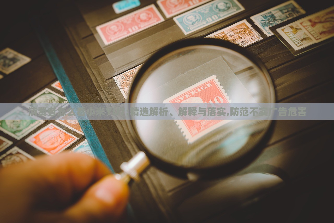 消費(fèi)者怎么看小米YU7:精選解析、解釋與落實(shí),防范不實(shí)廣告危害
