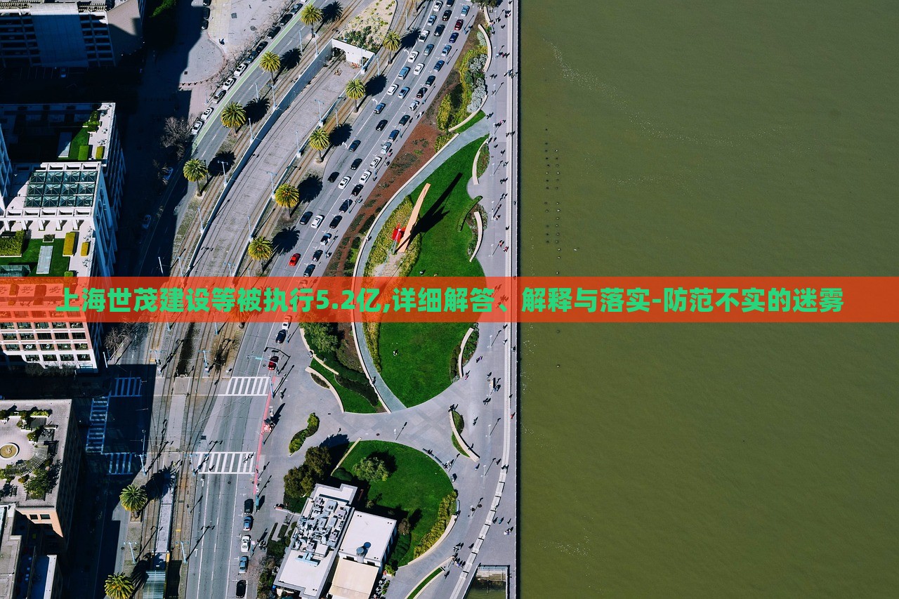 上海世茂建設(shè)等被執(zhí)行5.2億,詳細(xì)解答、解釋與落實(shí)-防范不實(shí)的迷霧