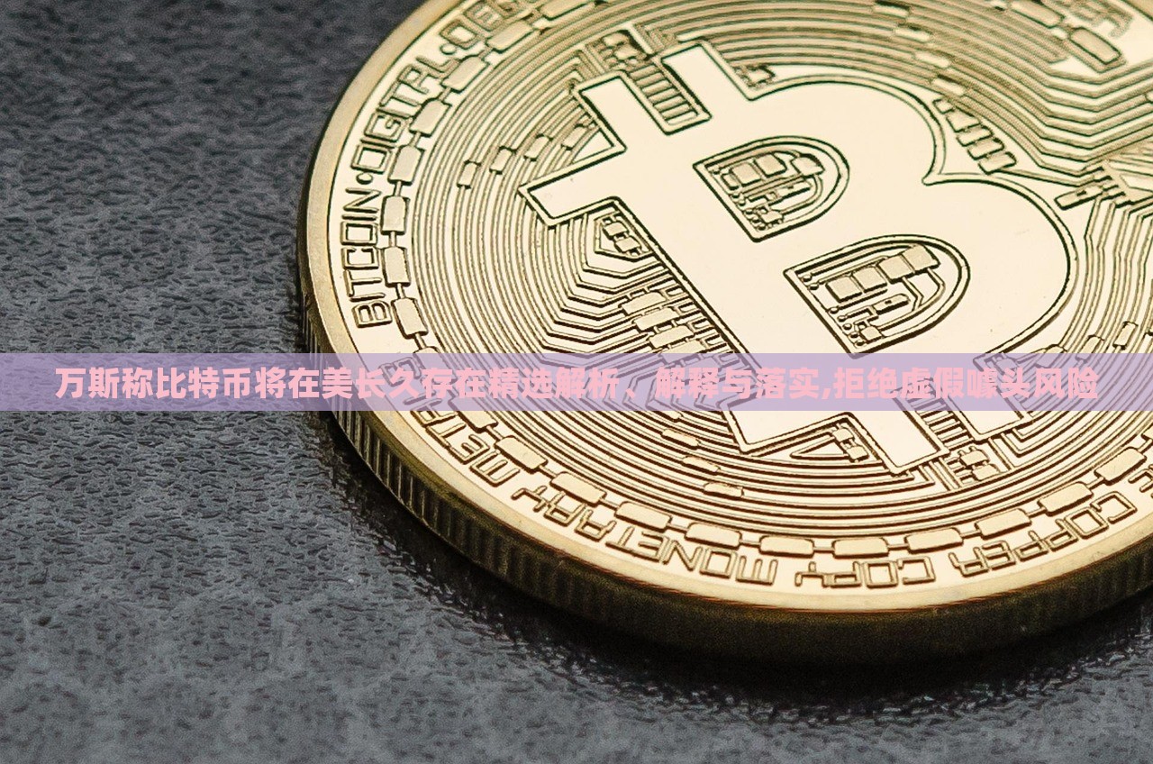 萬(wàn)斯稱比特幣將在美長(zhǎng)久存在精選解析、解釋與落實(shí),拒絕虛假噱頭風(fēng)險(xiǎn)