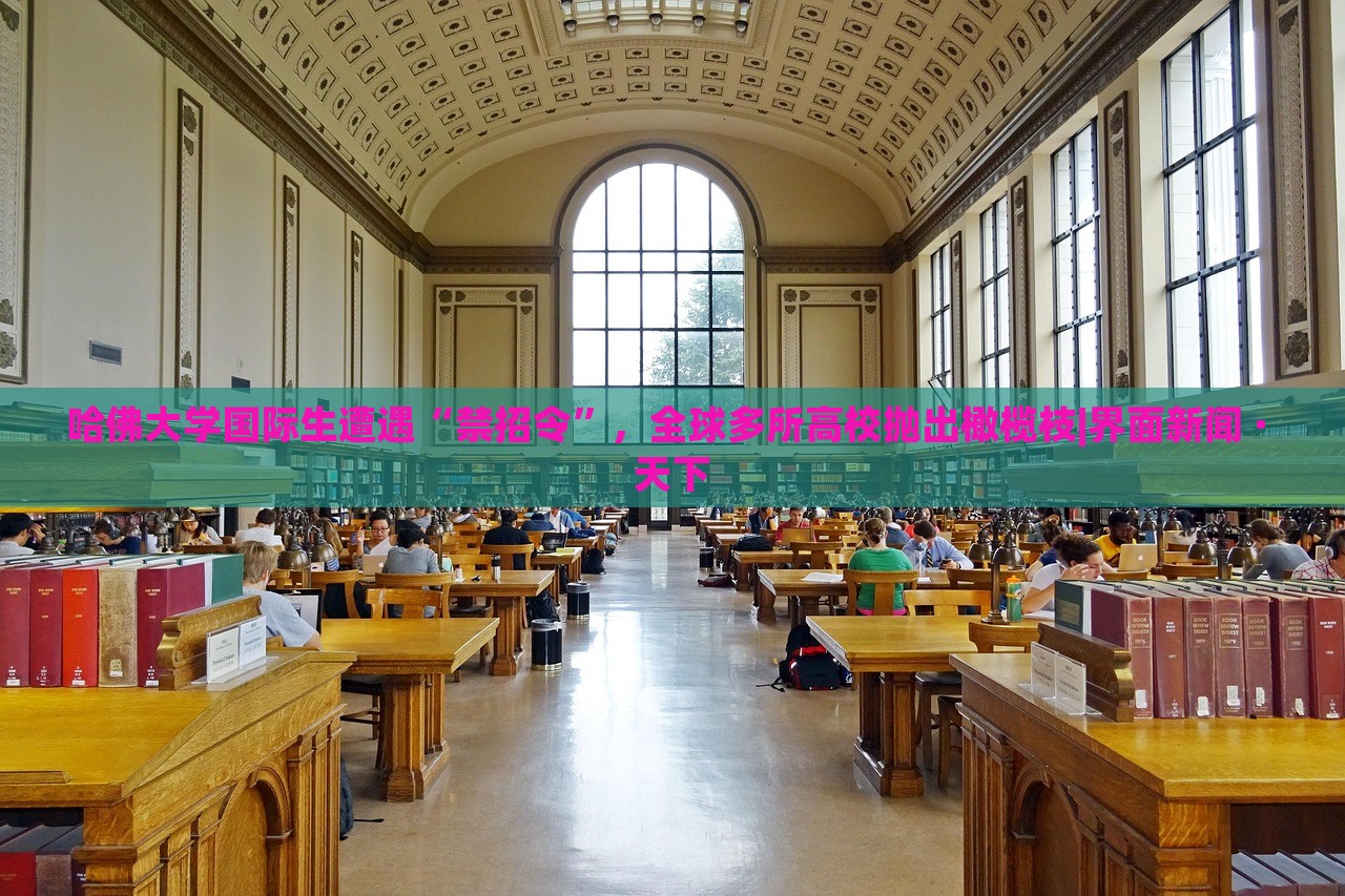 哈佛大学国际生遭遇“禁招令”，全球多所高校抛出橄榄枝|界面新闻 · 天下