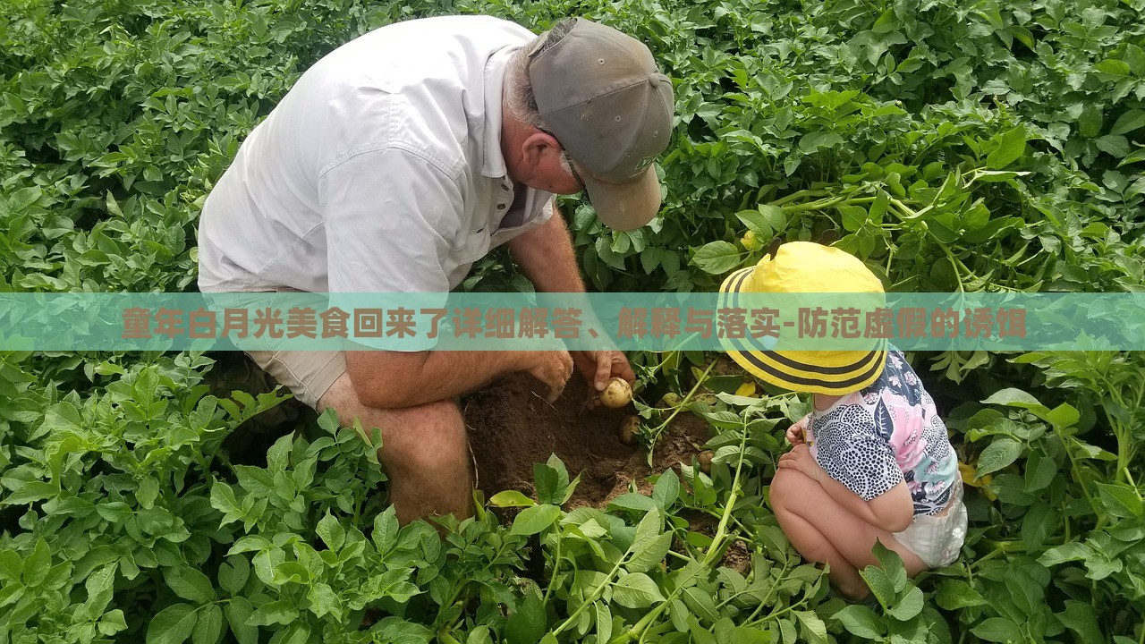 童年白月光美食回来了详细解答、解释与落实-防范虚假的诱饵