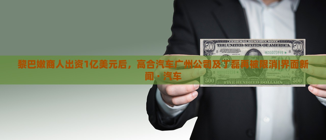 黎巴嫩商人出資1億美元后，高合汽車廣州公司及丁磊再被限消|界面新聞 · 汽車