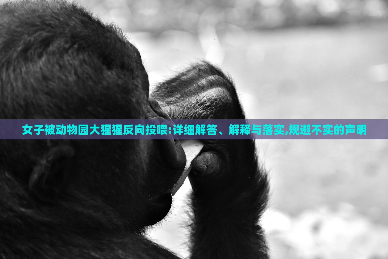 女子被動物園大猩猩反向投喂:詳細解答、解釋與落實,規(guī)避不實的聲明