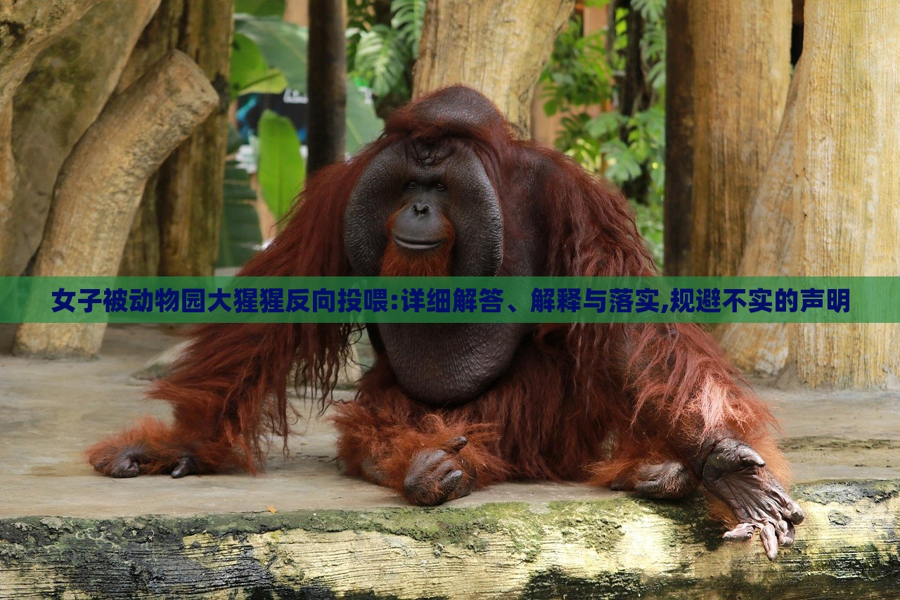 女子被動物園大猩猩反向投喂:詳細解答、解釋與落實,規(guī)避不實的聲明