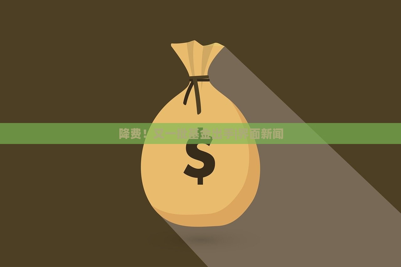降費(fèi)！又一批基金出手|界面新聞