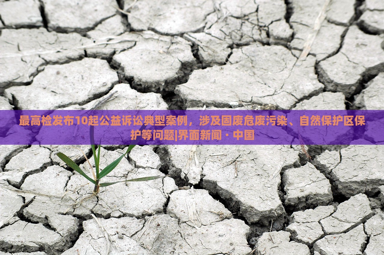 最高檢發(fā)布10起公益訴訟典型案例,涉及固廢危廢污染、自然保護區(qū)保護等問題|界面新聞 · 中國 最高檢發(fā)布10起公益訴訟典型案例,涉及固廢危廢污染、自然保護區(qū)保護等問題|界面新聞 · 中國